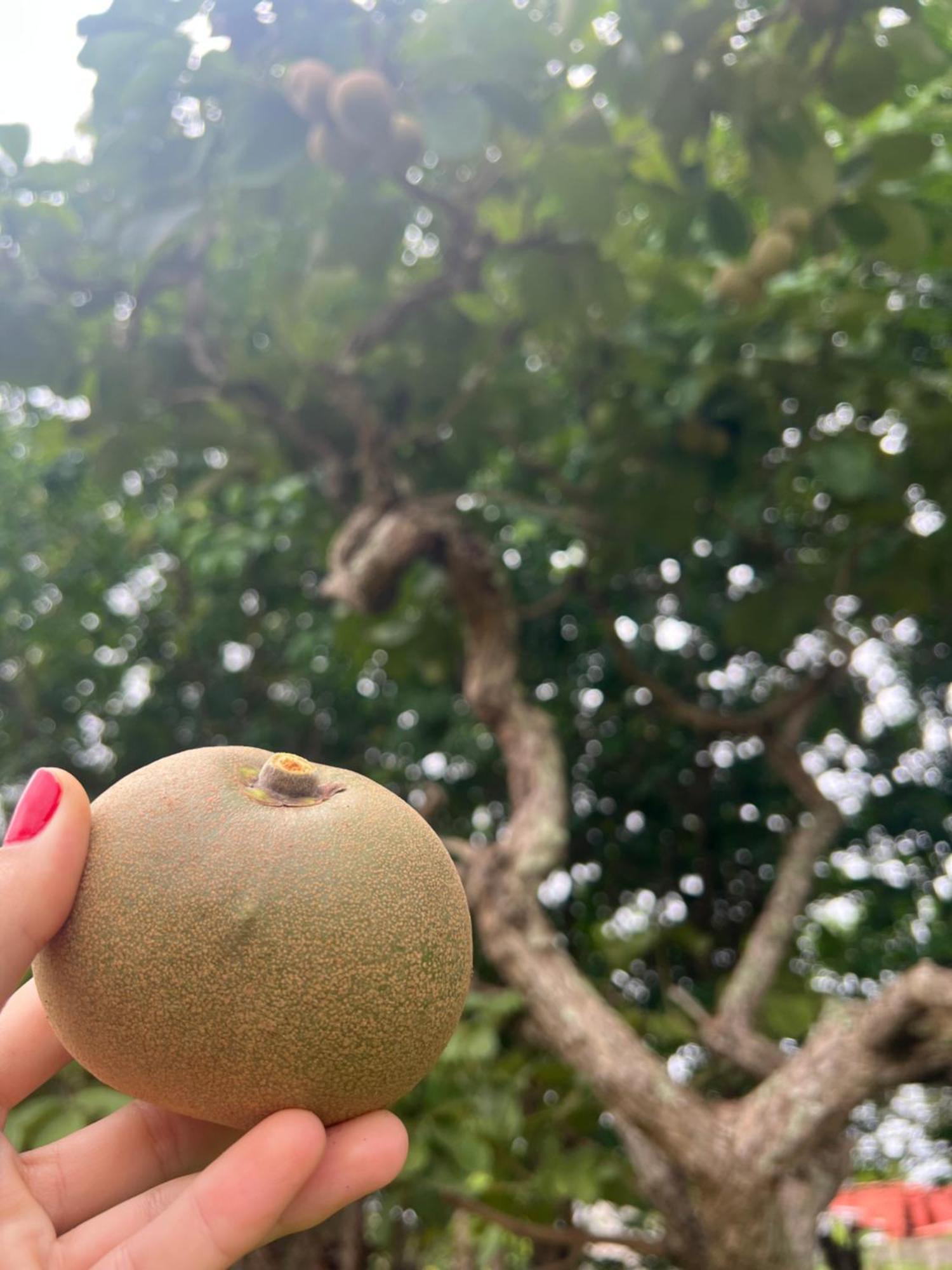 Pousada Ceres 32 Chapada dos Guimarães Εξωτερικό φωτογραφία